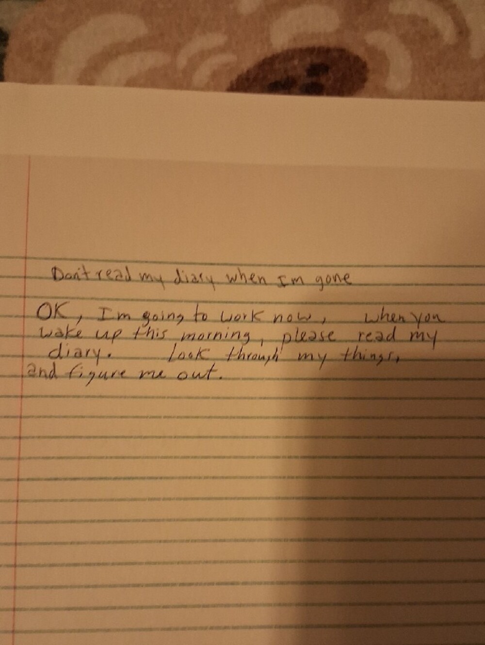 Kurt Cobain Journals Hardback - Picture 6 of 6